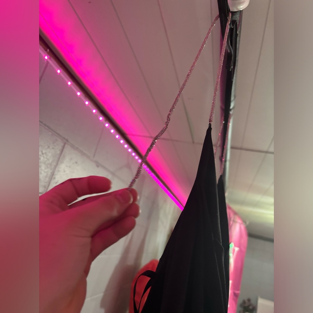 Homecoming - Picture 4 of 4